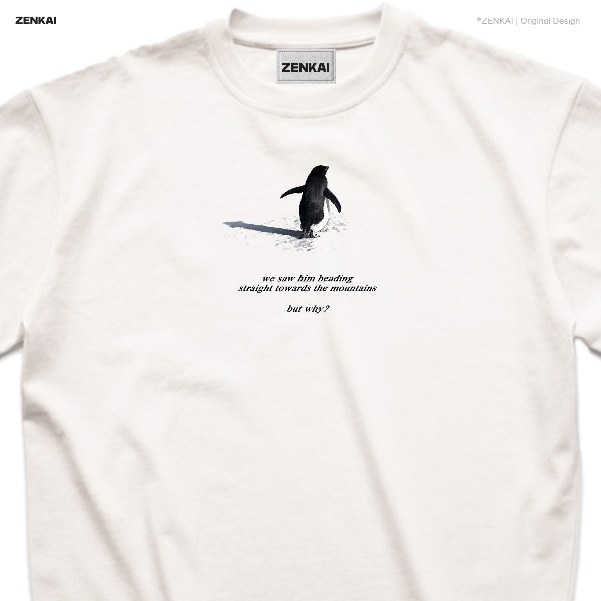 But Why — Toward the Mountains