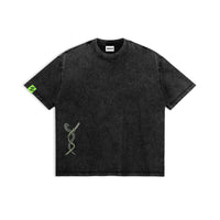 The Serpent and the Love Hashira