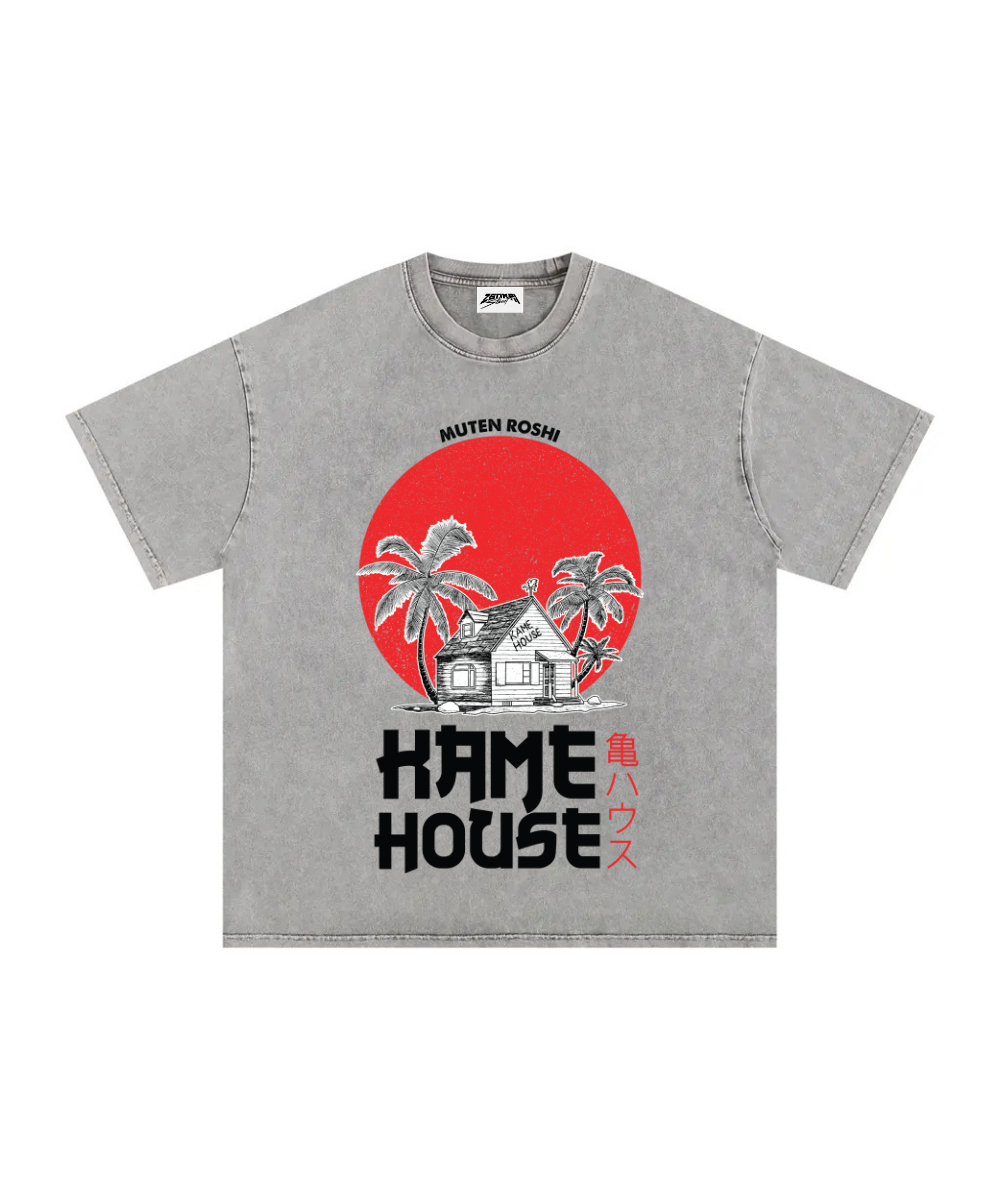 Island House