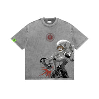 Lion’s Sin: Solar Heraldry