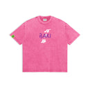 The Champion: Hanma’s Grapple